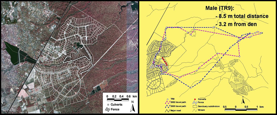 Residential development and Radio-telemetry data 